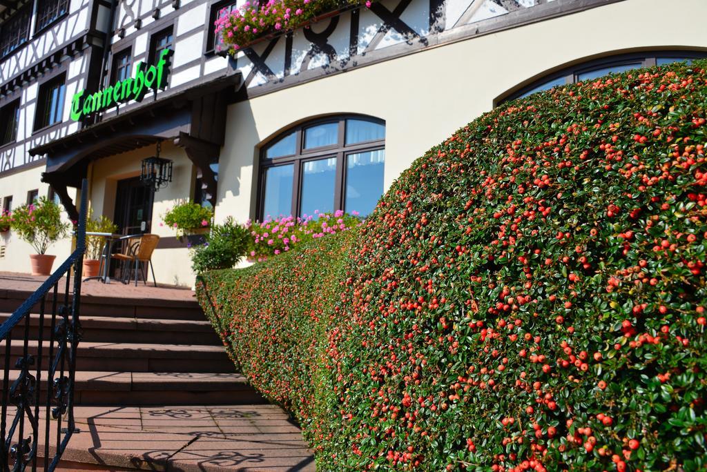 Relaxhotel Tannenhof Sasbachwalden Eksteriør bilde